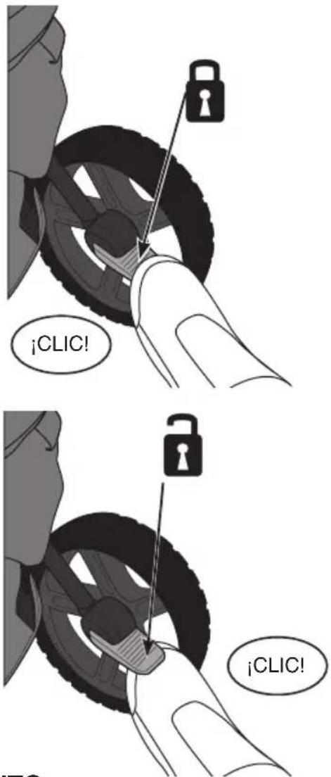 ¡CLIC! ¡CLIC!