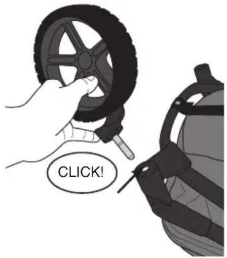 CLICK!