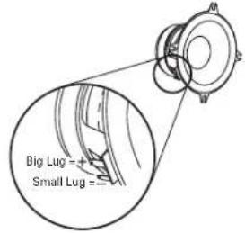 Big Lug Small Lug
