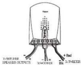 T-AMPUER SPEAKER OUTPUTS + Red - BWOODER Bit T-TWEETER