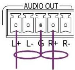 AUDIO OUT L+ L- G R+ R-