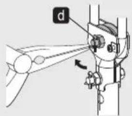 d