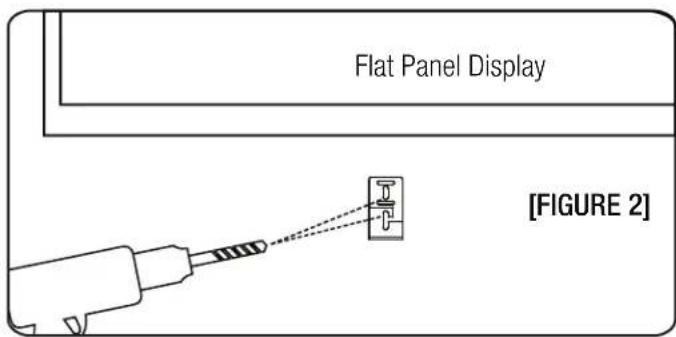 Flat Panel Display [FIGURE 2]