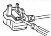 i-PRO WJ-PU201 - IF THE FITTED MOULDED PLUG IS UNSUITABLE FOR THE SOCKET OUTLET IN YOUR HOME THEN THE FUSE SHOULD BE REMOVED AND THE PLUG CUT OFF AND DISPOSED OF SAFELY. THERE IS A DANGER OF SEVERE ELECTRICAL SHOCK IF THE CUT OFF PLUG IS INSERTED INTO ANY 13 AMP SOCKET. - 1
