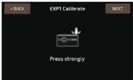 < BACK EXP1 Calibrate NEXT Press strongly