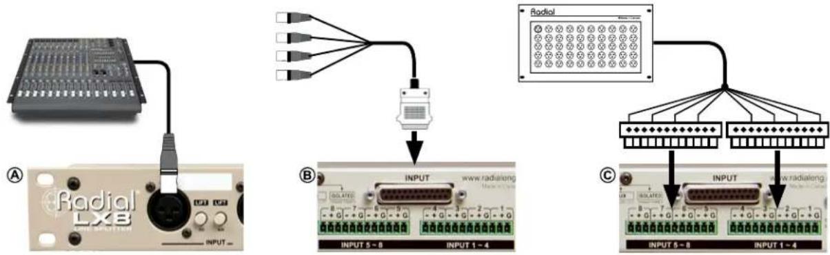 Radial Engineering LX8 - LX8 Inputs - 1
