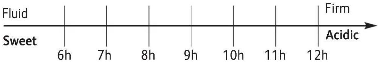Fluid Sweet 6h 7h 8h 9h 10h 11h 12h Firm Acidic
