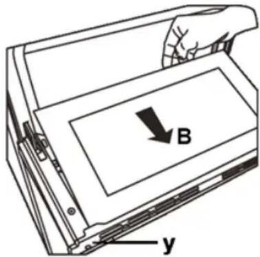 B y