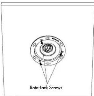 Rato-Lock Screws