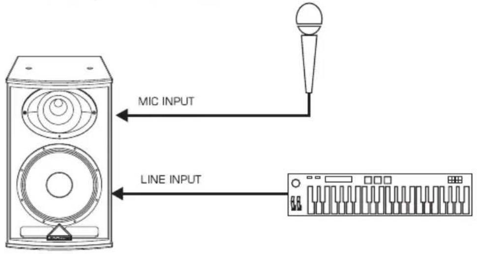 MIC INPUT LINE INPUT