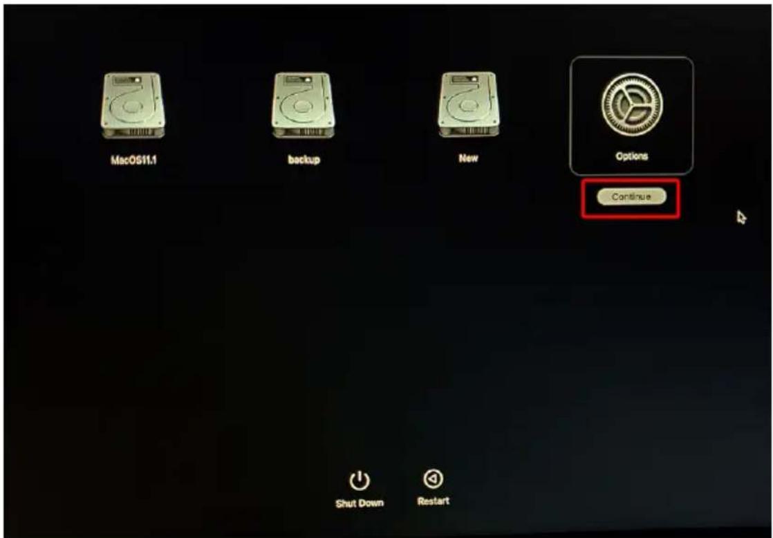 MacOS11.1 backup New Options Continue Shut Down Restart