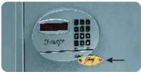 Digital kitchen appliance control panel with Chinese text and a yellow button, showing a digital display and numeric keypad.