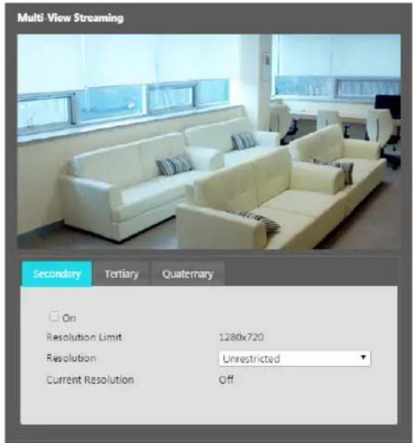 Multi-View Streaming Secondary Tertiary Quaternary On Resolution Limit 1280x720 Resolution Unrestricted Current Resolution Off