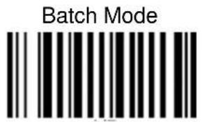 Batch Mode