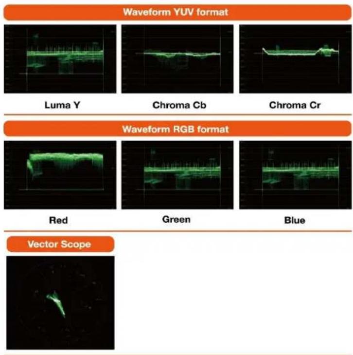 Waveform YUV format Luma Y Chroma Cb Chroma Cr Waveform RGB format Red Green Blue Vector Scope