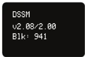 DSSM v2.08/2.00 B1k: 941