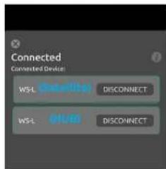Connected Connected Device WS-L Subōffēr DISCONNECT WS-L 01/08 DISCONNECT