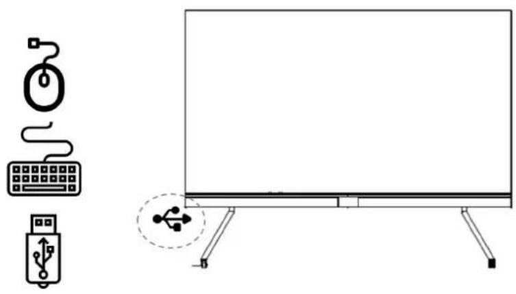 Newline DV-12023HD - USB Connecting - 1