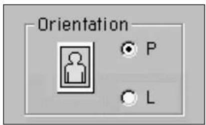Orientation P L