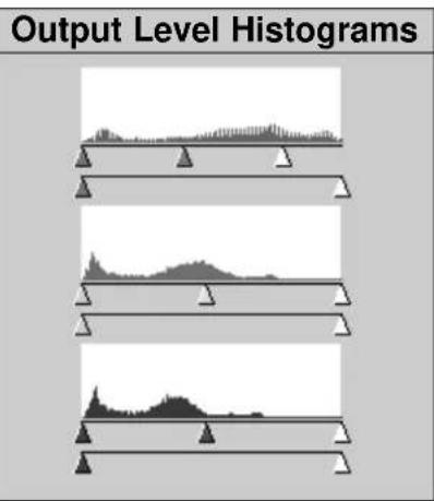 Output Level Histograms