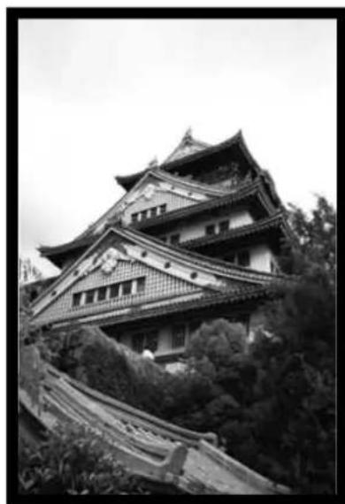 MINOLTA Dimâge Scan Dual I - Rotate - 4