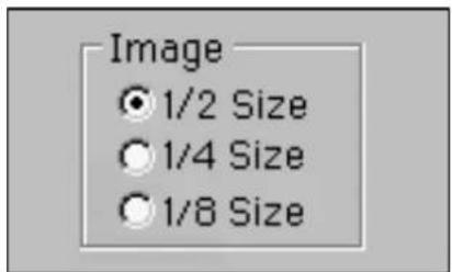 Image ○ 1/2 Size ○ 1/4 Size ○ 1/8 Size