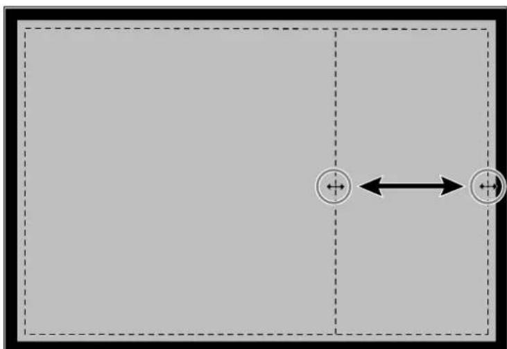 MINOLTA Dimâge Scan Dual I - ORIENTING THE IMAGE - 3