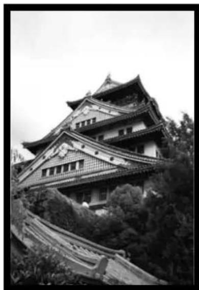 MINOLTA Dimâge Scan Dual I - Rotate - 2