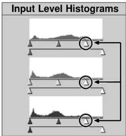 Input Level Histograms