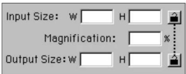 Input Size: w H Magnification: % Output Size: w H