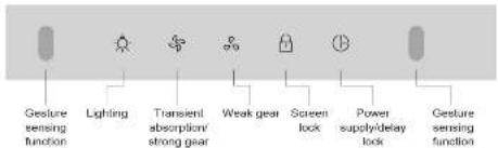Gesture sensing function Lighting Transient absorption/ strong gear Weak gear Screen lock Power supply/delay lock Gesture sensing function