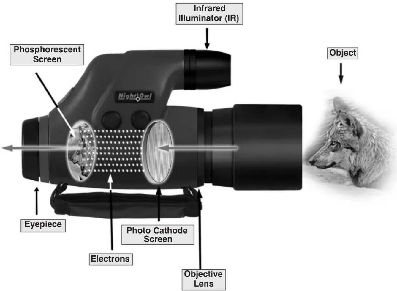 Phosphorescent Screen NightlOwl Infrared Illuminator (IR) Object Eyepiece Photo Cathode Screen Electrons Objective Lens