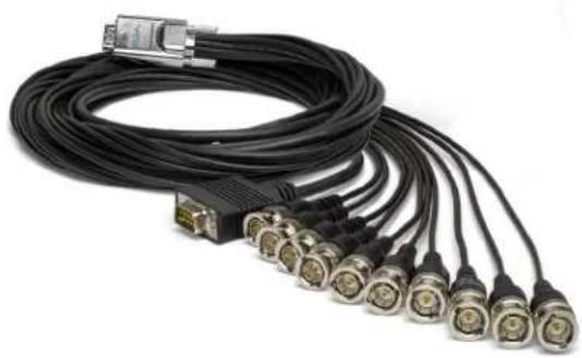 Coiled black network cable with multiple 10-pin connectors, no visible text or symbols