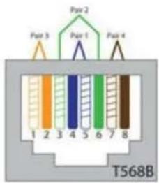 Pair 2 Pair 3 Pair 1 Pair 4 T568B