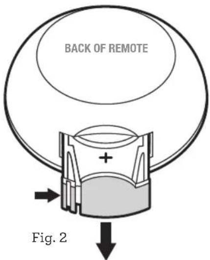 BACK OF REMOTE Fig. 2