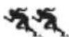 SUUNTO Vector XBlack - Times of two runners - 2