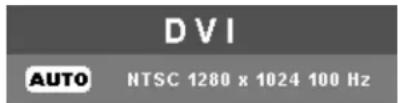DVI AUTO NTSC 1280 x 1024 100 Hz