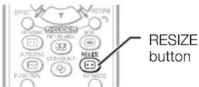 RESIZE button