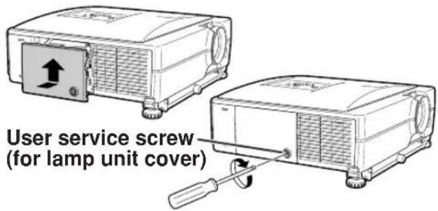 User service screw (for lamp unit cover)