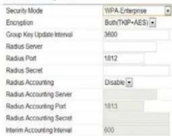 Security Mode WPA-Enterprise Encryption Both(TKIP·AES) Group Key Update Interval 3600 Radius Server Radius Port 1812 Radius Secret Radius Accounting Disable Radius Accounting Server Radius Accounting Port 1813 Radius Accounting Secret Interim Accounting Interval 600
