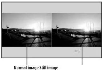 Normal image Still image