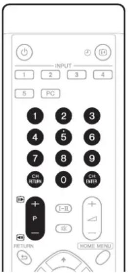 INPUT 1 2 3 4 5 PC 1 2 3 4 5 6 7 8 9 CH RETURN 0 CH ENTER + P - I-II + OK - RETURN HOME MENU