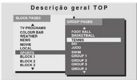 Descrição geral TOP BLOCK PAGES TV PROGRAMS COLOUR BAR WEATHER NEWS MOVIE LOCAL SPORTS BLOCK 1 BLOCK 2 BLOCK 3 GROUP PAGES FOOT BALL BASKETBALL TENNIS SKI JUDO SWIM GROUP 1 GROUP 2 GROUP 3 GROUP 4