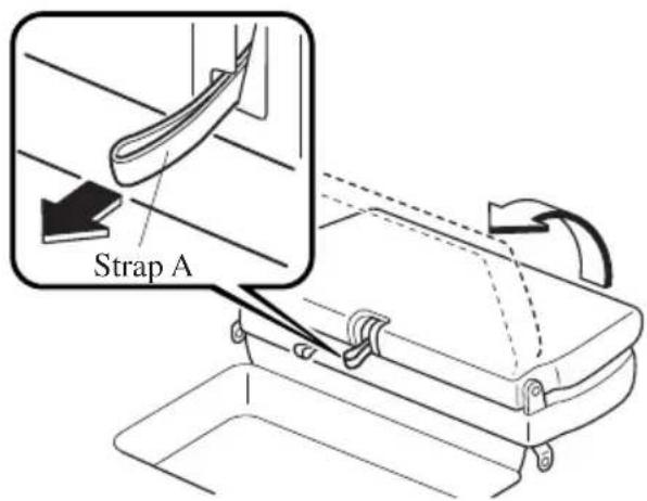 Strap A