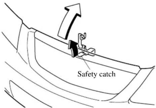 Safety catch