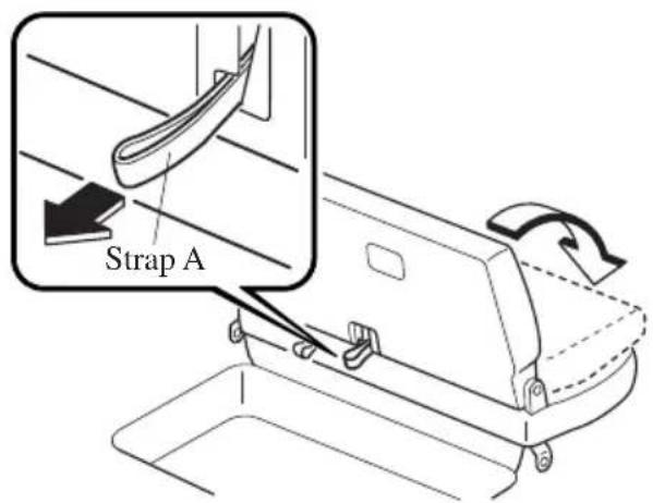 Strap A