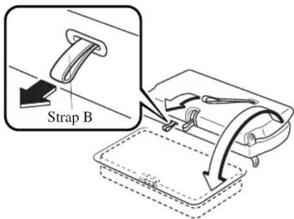 Strap B