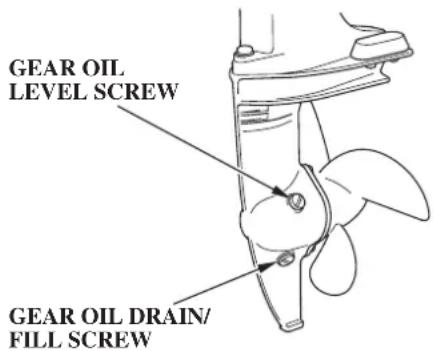 GEAR OIL LEVEL SCREW GEAR OIL DRAIN/ FILL SCREW
