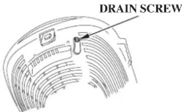 DRAIN SCREW