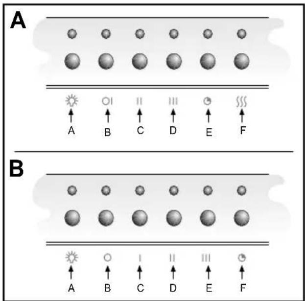 A B